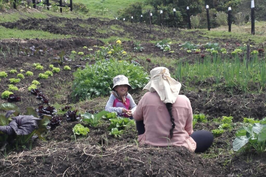 הוילה Un Refugio En Las Montanas De טביו מראה חיצוני תמונה